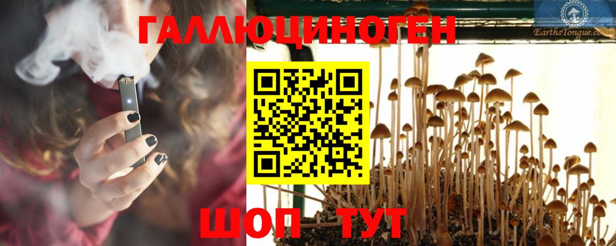 Псилоцибиновые грибы Magic Shrooms  закладка  Невинномысск  Вход с VPN 